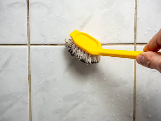 Best Affordable Mold Removal  in Venice, IL