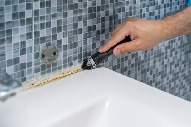 Best Office Mold Removal Services  in Venice, IL